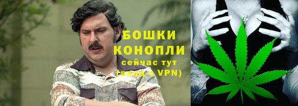 сатива Абдулино